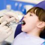 Good Orthodontist Seminole Services