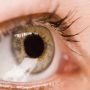 An Overview of Glaucoma and the Different Treatment Options Available